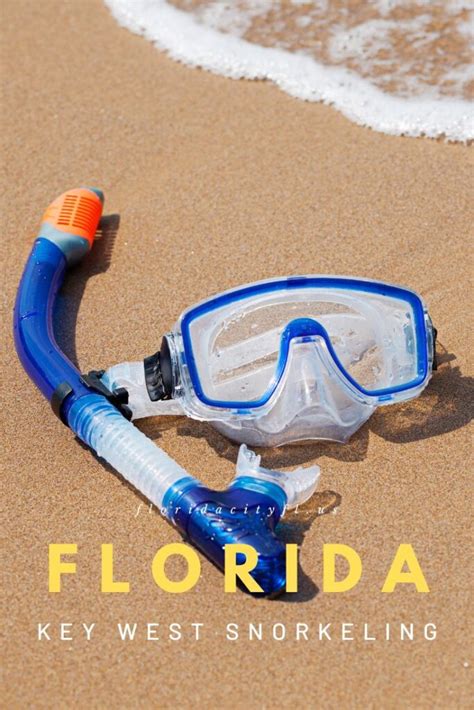 key west snorkeling reviews